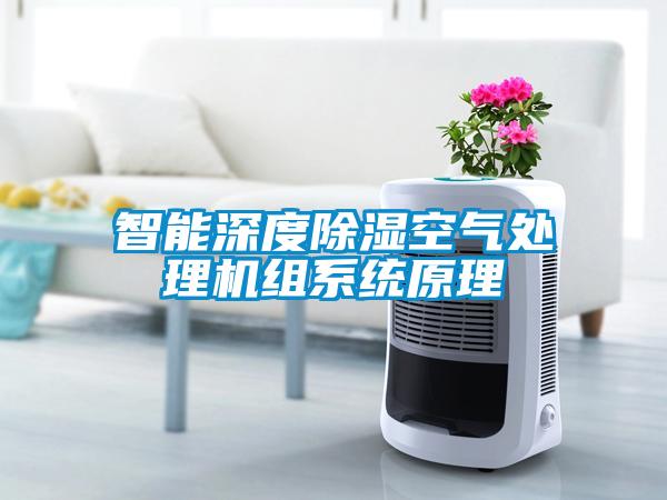 智能深度除湿空气处理机组系统原理
