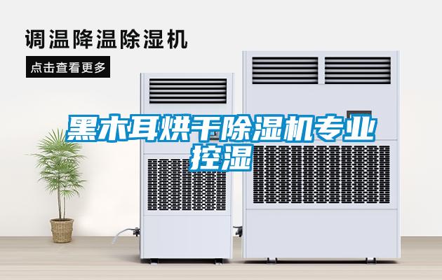 黑木耳烘干除湿机专业控湿