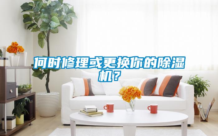 何时修理或更换你的除湿机？