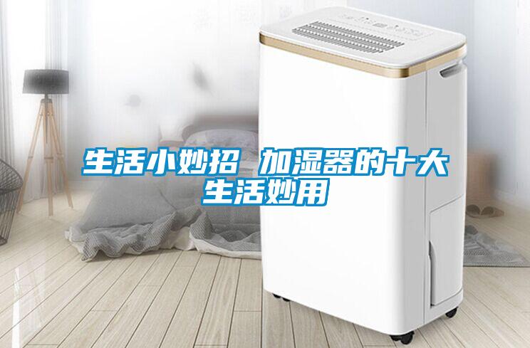 生活小妙招 加湿器的十大生活妙用