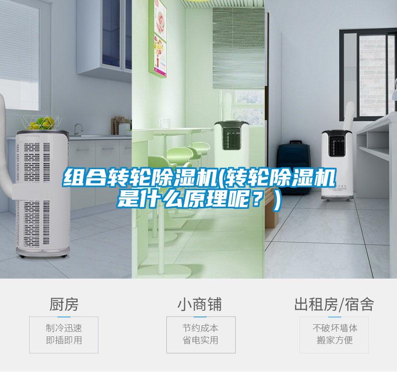 组合转轮除湿机(转轮除湿机是什么原理呢？)