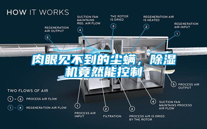 肉眼见不到的尘螨，除湿机竟然能控制