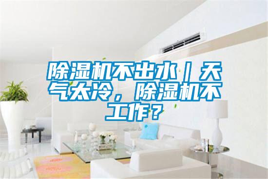 除湿机不出水｜天气太冷，除湿机不工作？