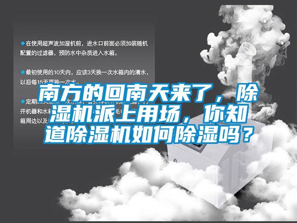 南方的回南天来了，除湿机派上用场，你知道除湿机如何除湿吗？