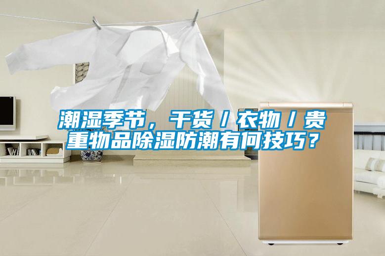 潮湿季节，干货／衣物／贵重物品除湿防潮有何技巧？