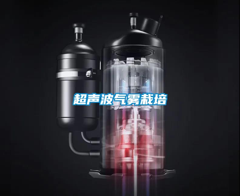超声波气雾栽培