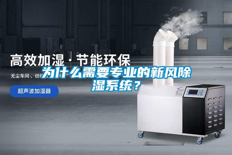 为什么需要专业的新风除湿系统？