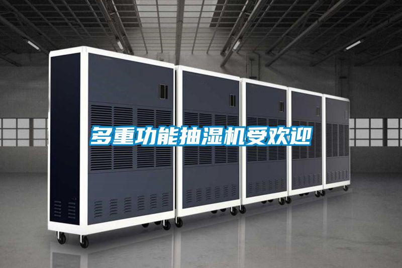 多重功能抽湿机受欢迎