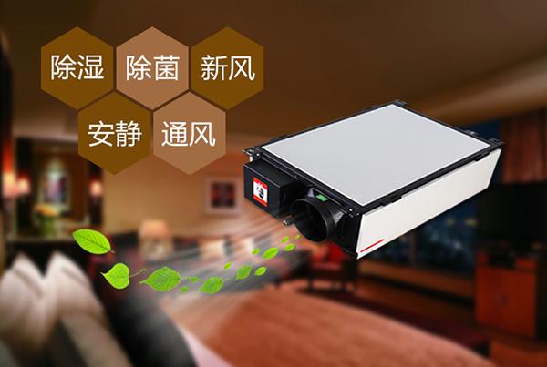 除湿机让中药药材生产储存更放心