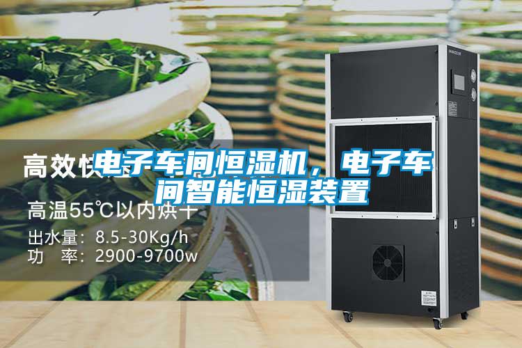 电子车间恒湿机，电子车间智能恒湿装置