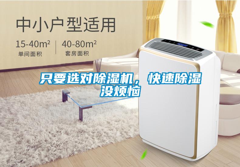 只要选对除湿机，快速除湿没烦恼