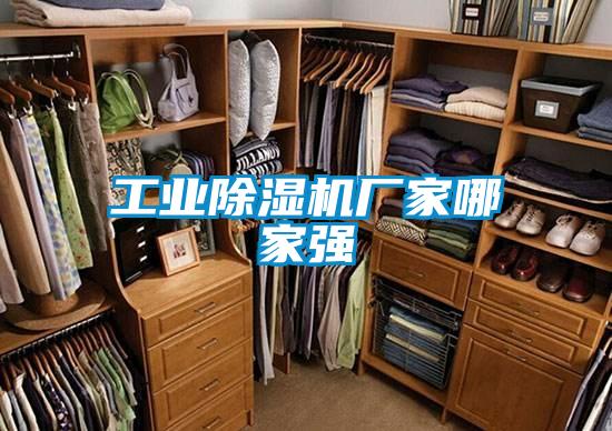 工业除湿机厂家哪家强