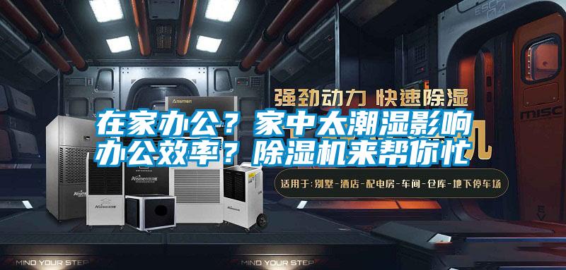 在家办公？家中太潮湿影响办公效率？除湿机来帮你忙
