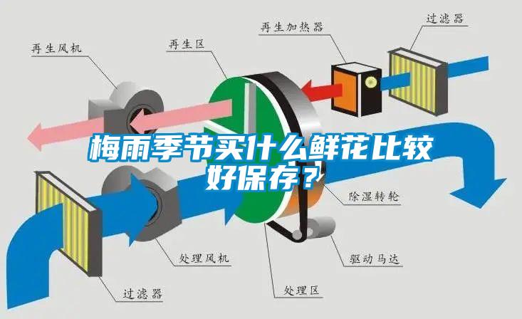 梅雨季节买什么鲜花比较好保存？