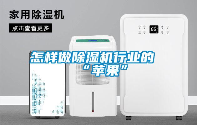 怎样做除湿机行业的“苹果”
