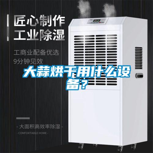 大蒜烘干用什么设备？