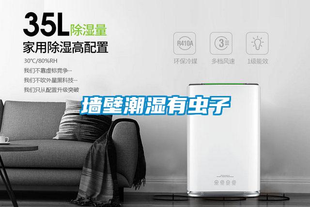 墙壁潮湿有虫子