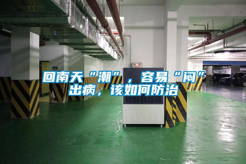 回南天“潮”，容易“闷”出病，该如何防治