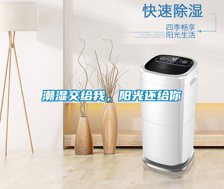 潮湿交给我，阳光还给你
