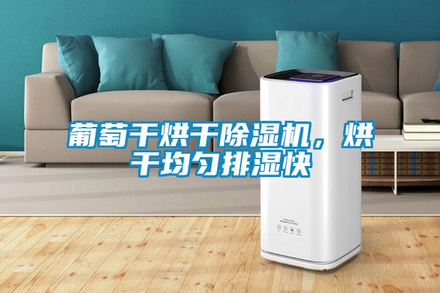 葡萄干烘干除湿机，烘干均匀排湿快