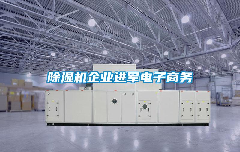 除湿机企业进军电子商务