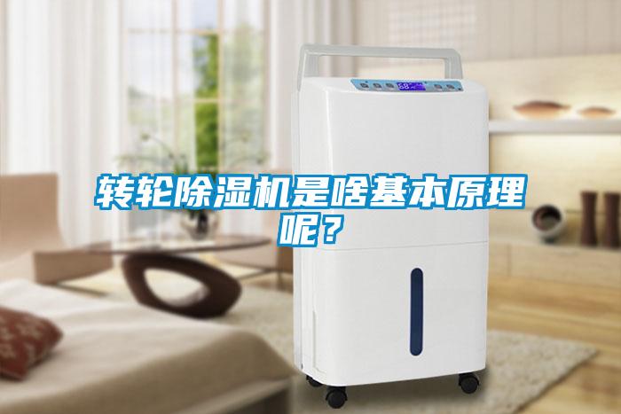 转轮除湿机是啥基本原理呢？