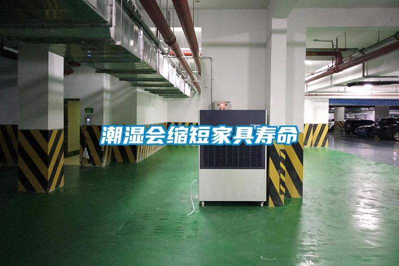 潮湿会缩短家具寿命