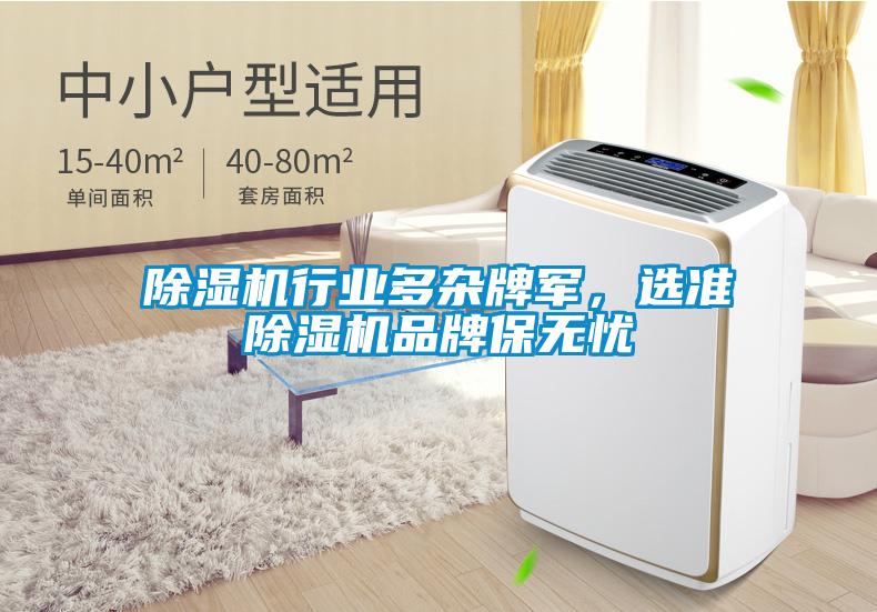除湿机行业多杂牌军，选准除湿机品牌保无忧