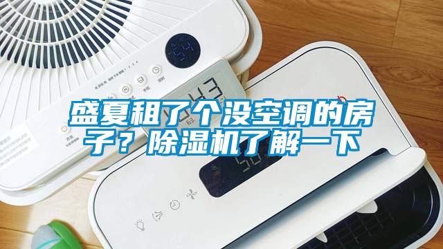 盛夏租了个没空调的房子？除湿机了解一下