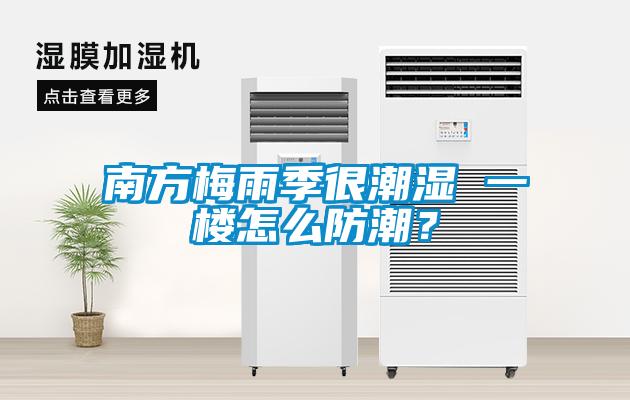 南方梅雨季很潮湿 一楼怎么防潮？