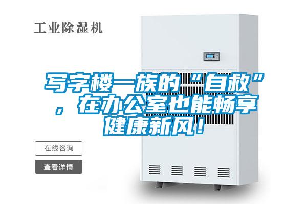 写字楼一族的“自救”，在办公室也能畅享健康新风！