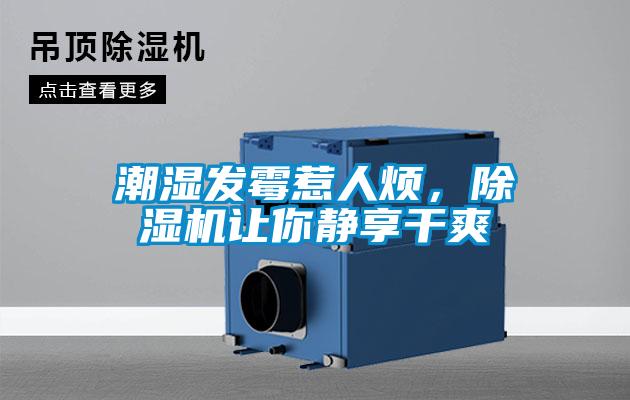 潮湿发霉惹人烦，除湿机让你静享干爽