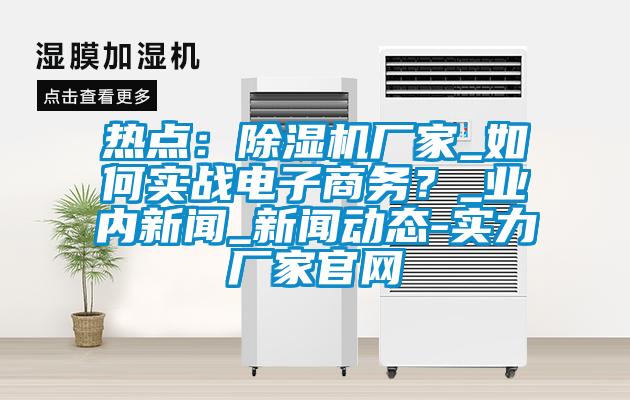 热点：除湿机厂家_如何实战电子商务？_业内新闻_新闻动态-实力厂家官网
