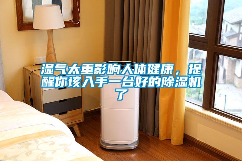 湿气太重影响人体健康，提醒你该入手一台好的除湿机了