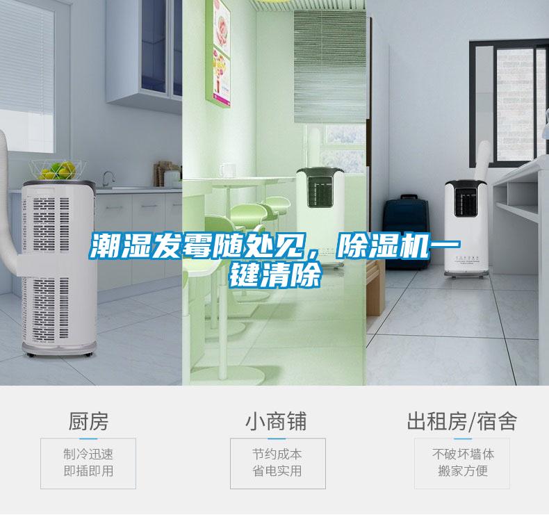 潮湿发霉随处见，除湿机一键清除