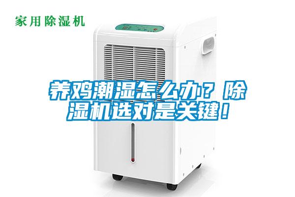 养鸡潮湿怎么办？除湿机选对是关键！
