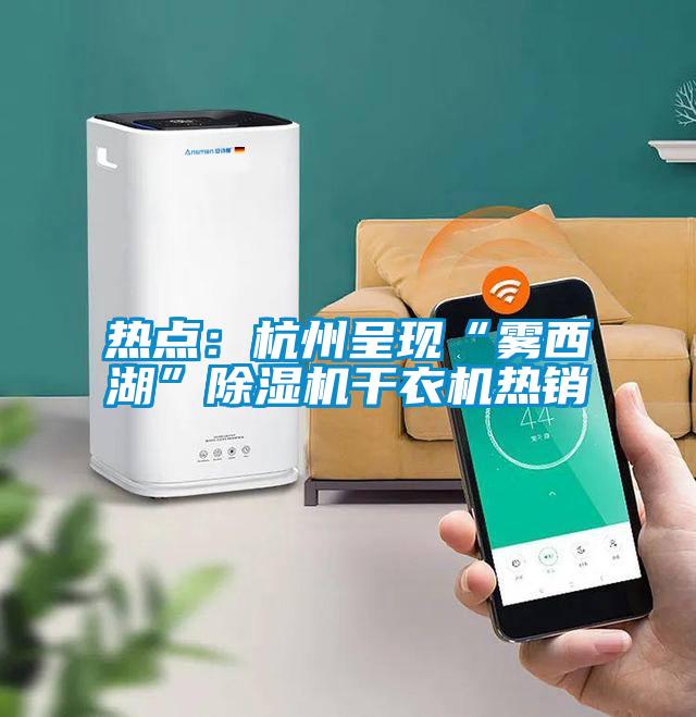 热点：杭州呈现“雾西湖”除湿机干衣机热销
