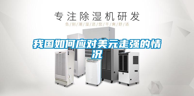 我国如何应对美元走强的情况