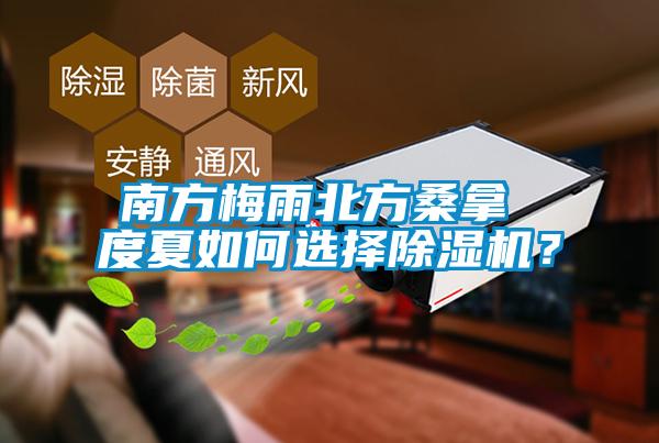 南方梅雨北方桑拿 度夏如何选择除湿机？
