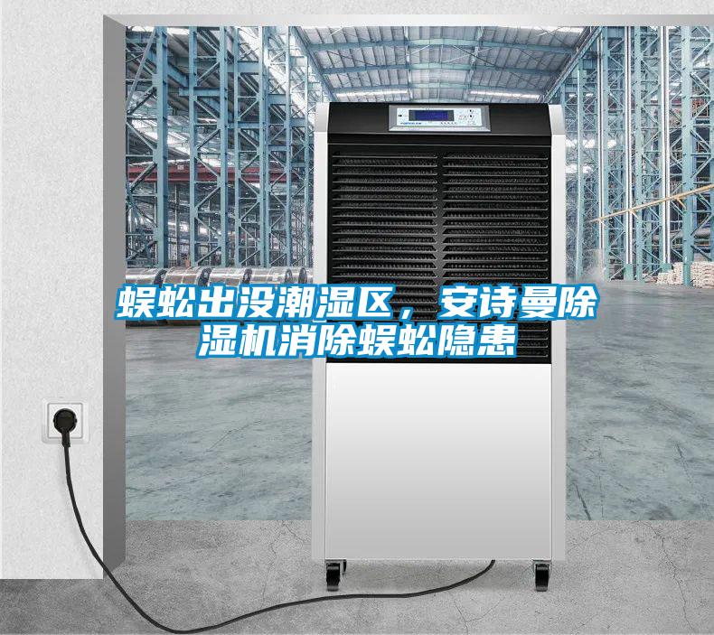 蜈蚣出没潮湿区，安诗曼除湿机消除蜈蚣隐患
