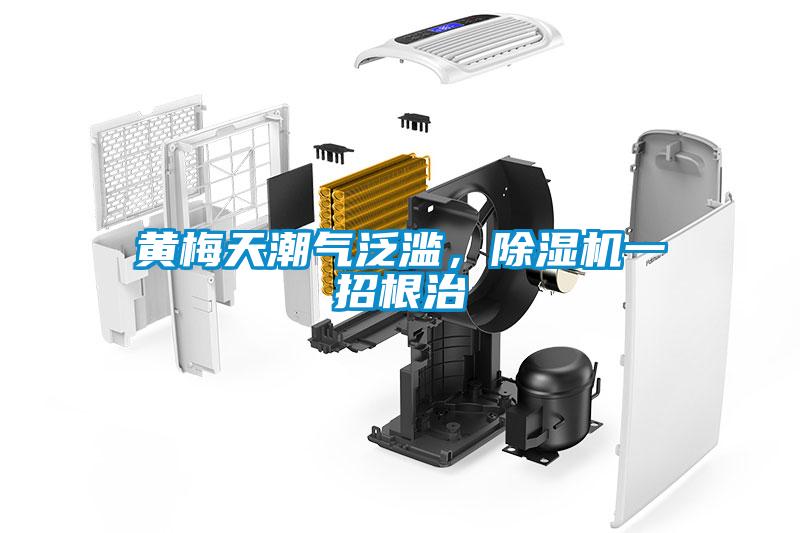 黄梅天潮气泛滥，除湿机一招根治