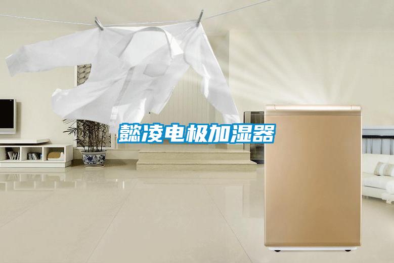 懿凌电极加湿器