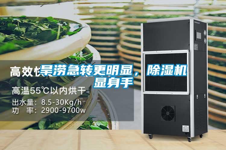 旱涝急转更明显，除湿机显身手
