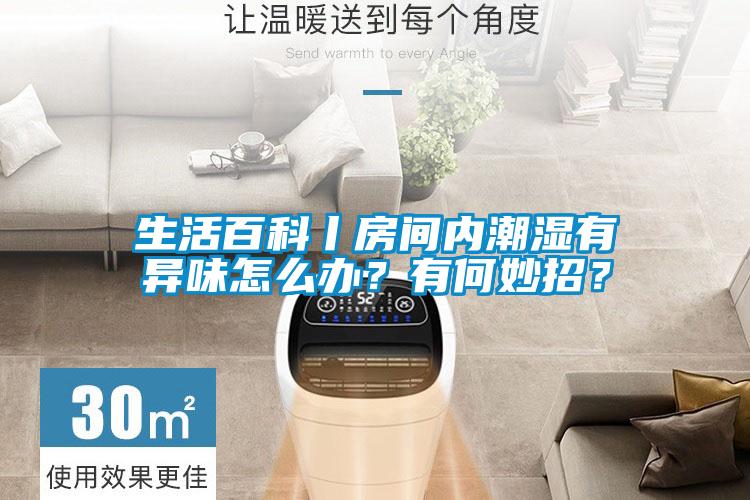 生活百科丨房间内潮湿有异味怎么办？有何妙招？