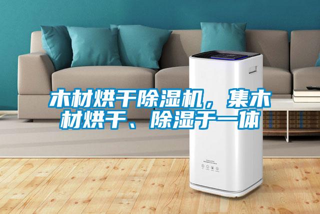 木材烘干除湿机，集木材烘干、除湿于一体