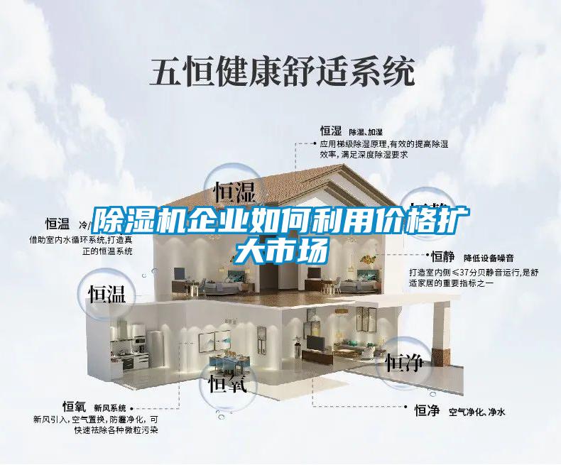 除湿机企业如何利用价格扩大市场