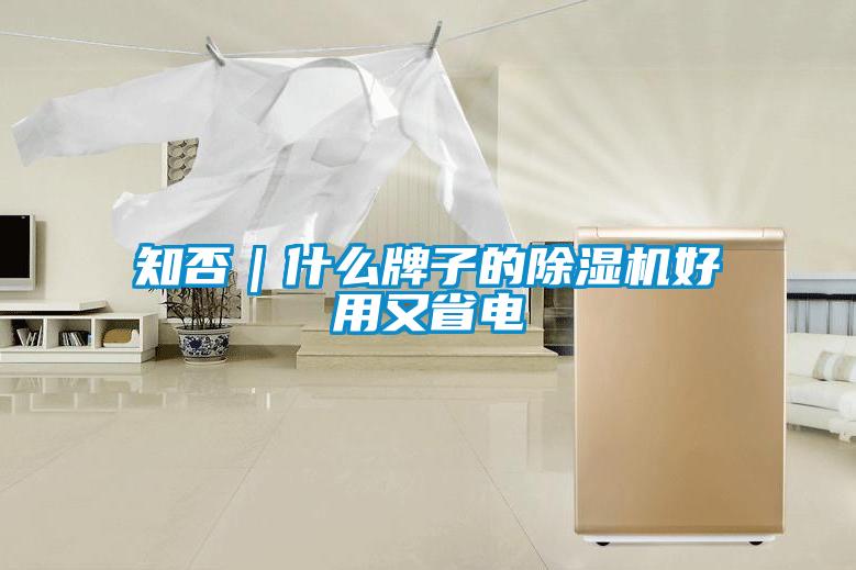知否｜什么牌子的除湿机好用又省电