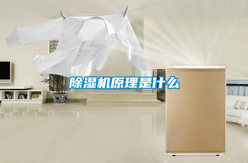 除湿机原理是什么