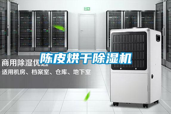 陈皮烘干除湿机