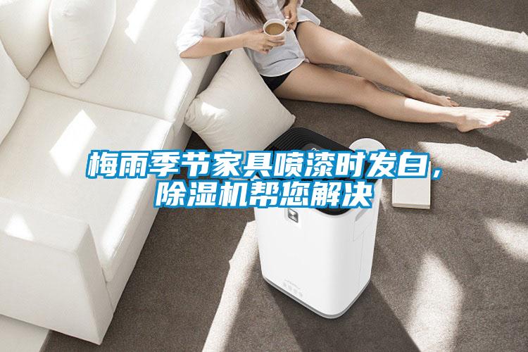 梅雨季节家具喷漆时发白，除湿机帮您解决